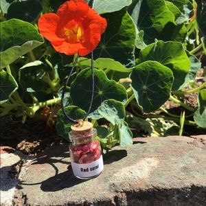 Crystals (Red Coral) In A Bottle Mini
